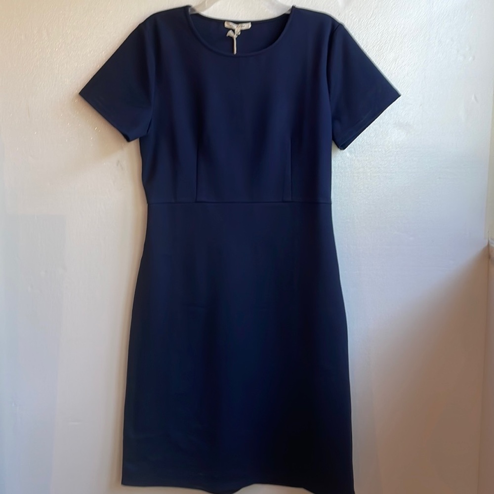 NWT Tea n Rose Los Angeles heavyweight knit shirt sleeve scoop neck dress